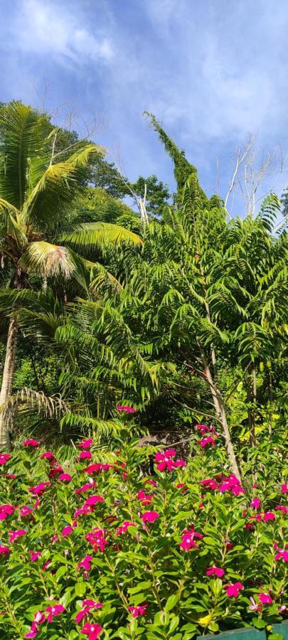 Chalets Des Vacances タカマカ エクステリア 写真